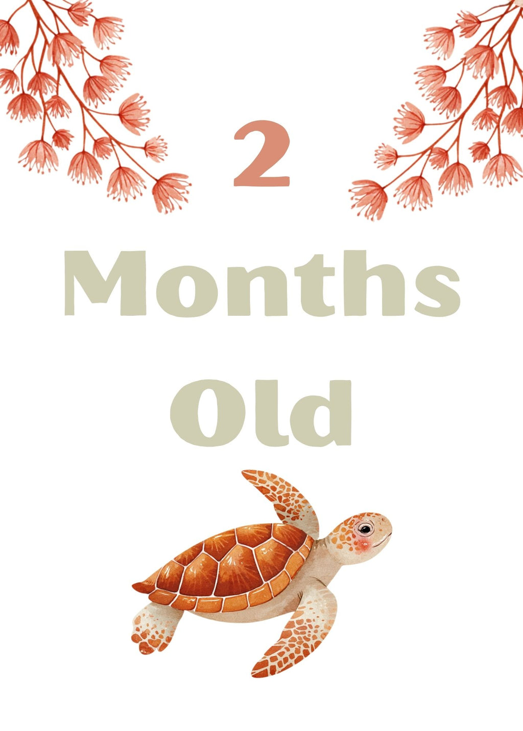 Print Ready - Digital Download | Ocean & Tropical 5x7 Baby Milestone Cards (20-Card Set)