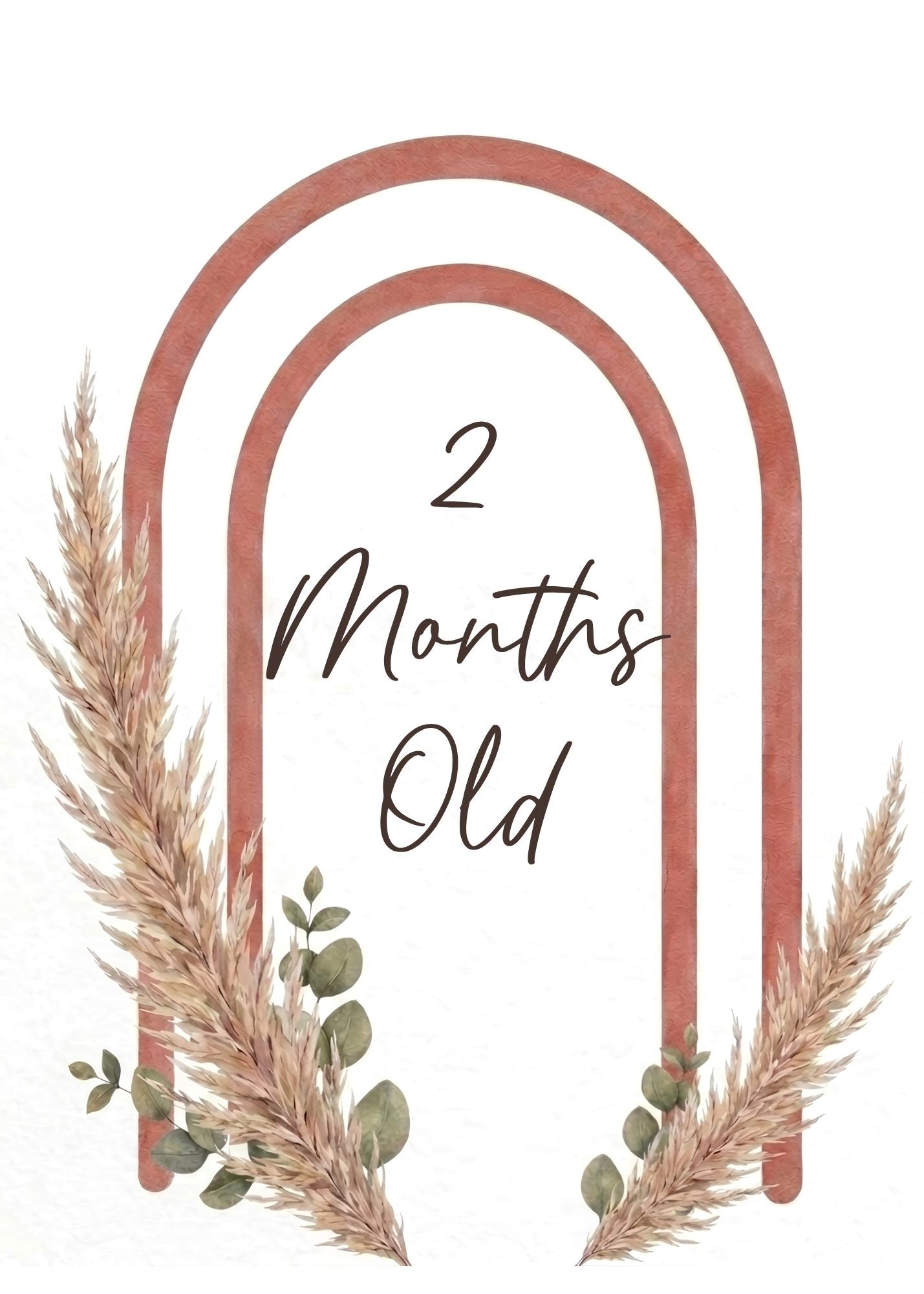 Print Ready - Digital Download | Set of 20 Boho Chic Baby Milestone & Development Cards (5x7 Digital Download)