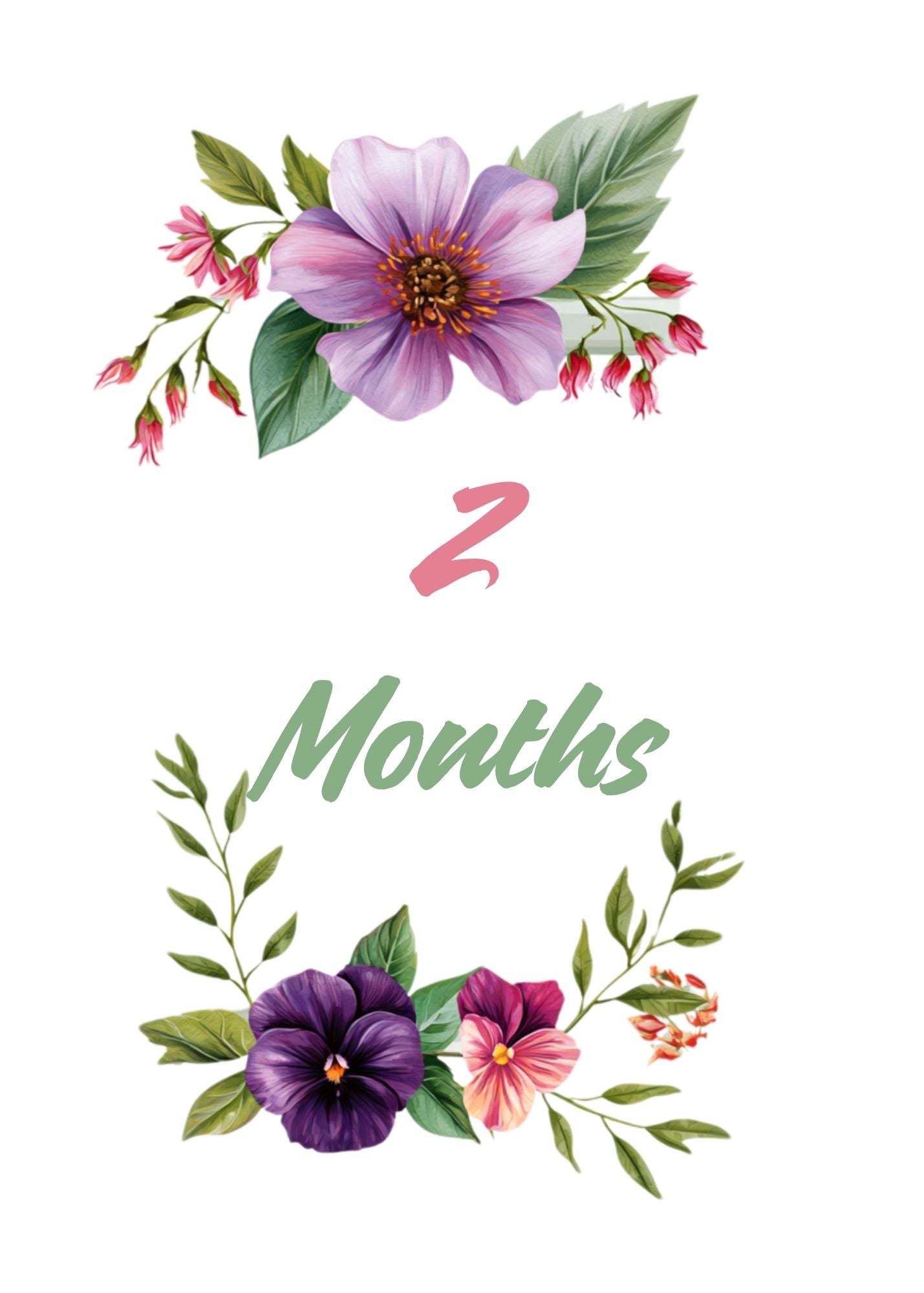 Print Ready - Digital Download | Elegant Botanical Floral Baby Milestone 5x7 Cards (20- Card Digital Printable Set)