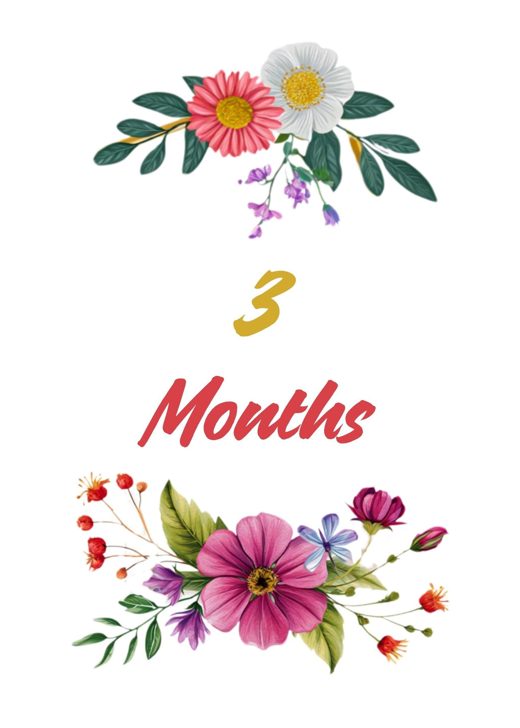 Print Ready - Digital Download | Elegant Botanical Floral Baby Milestone 5x7 Cards (20- Card Digital Printable Set)