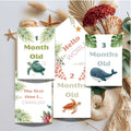 Print Ready - Digital Download | Ocean & Tropical 5x7 Baby Milestone Cards (20-Card Set)