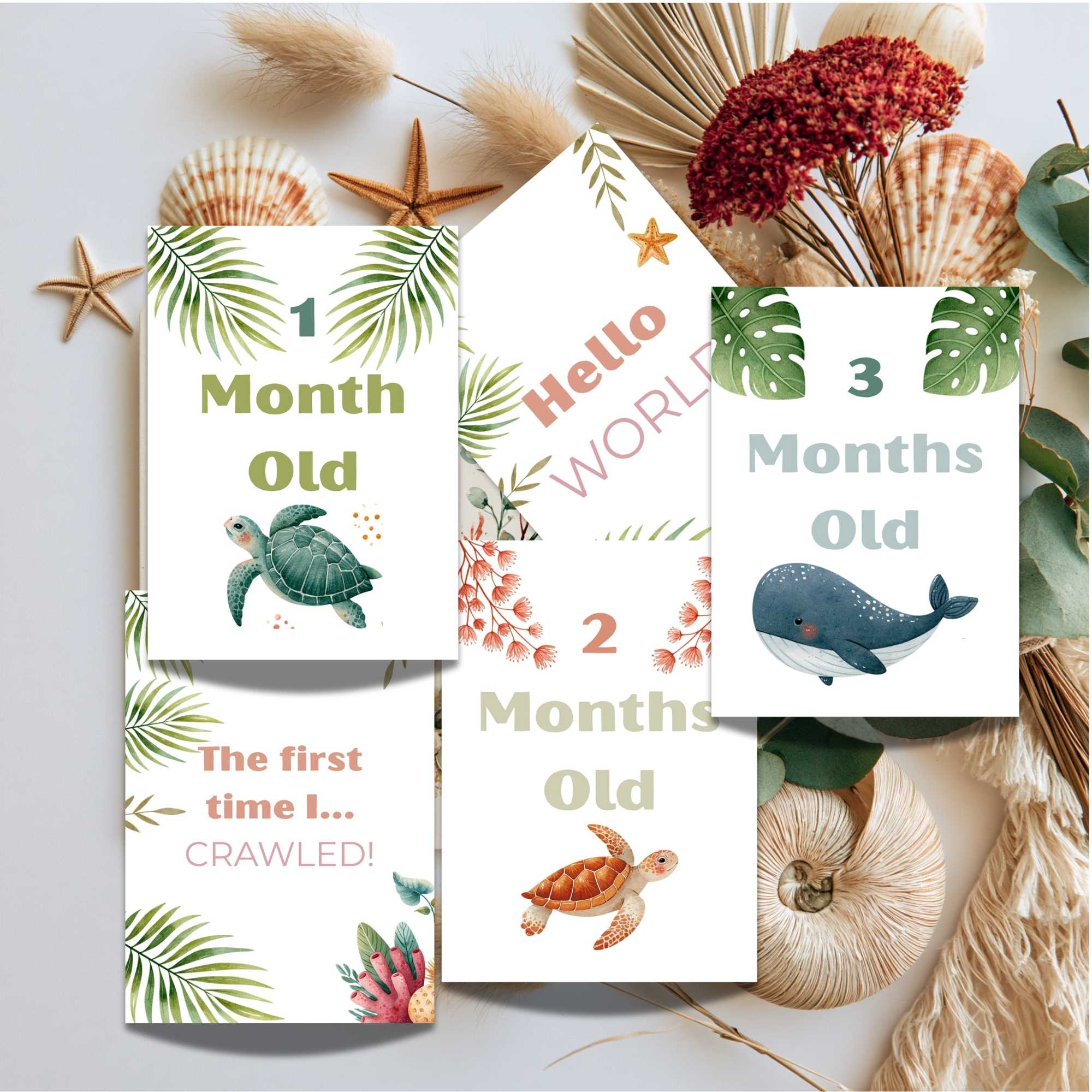 Print Ready - Digital Download | Ocean & Tropical 5x7 Baby Milestone Cards (20-Card Set)