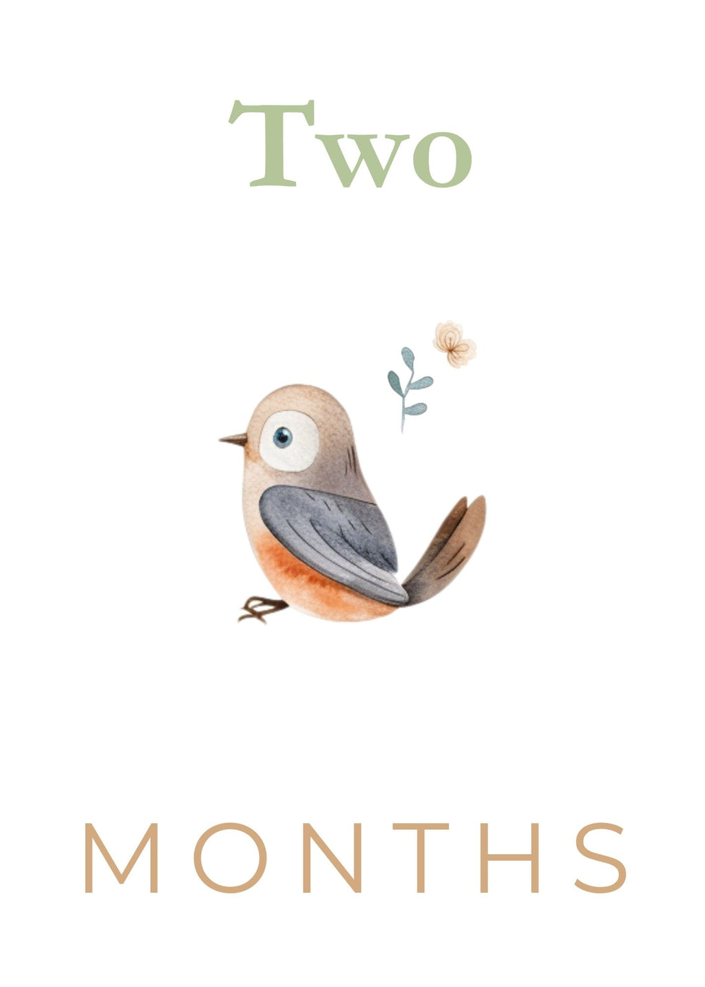 Print Ready - Digital Download | Woodland Baby Milestone Cards | Set of 20 Watercolor Growth Tracking Cards